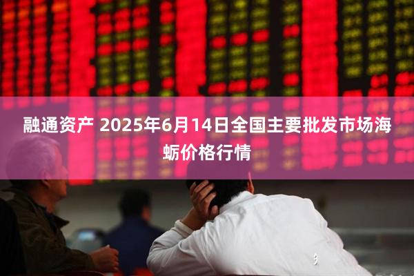 融通资产 2025年6月14日全国主要批发市场海蛎价格行情