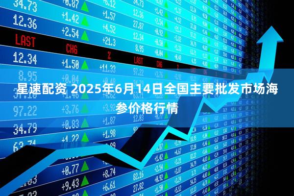 星速配资 2025年6月14日全国主要批发市场海参价格行情
