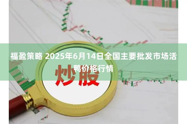 福盈策略 2025年6月14日全国主要批发市场活鸭价格行情
