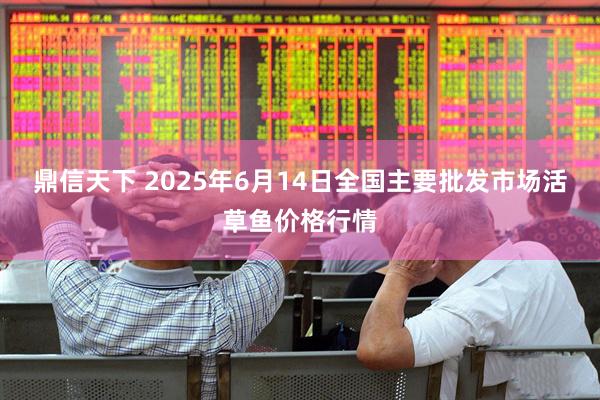 鼎信天下 2025年6月14日全国主要批发市场活草鱼价格行情