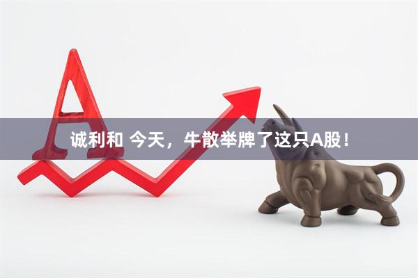 诚利和 今天，牛散举牌了这只A股！