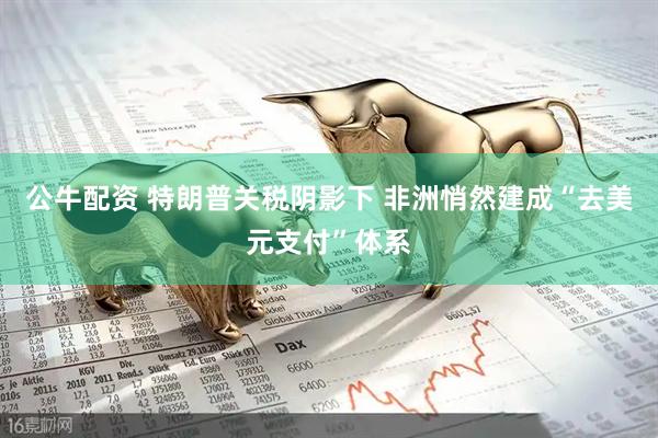 公牛配资 特朗普关税阴影下 非洲悄然建成“去美元支付”体系