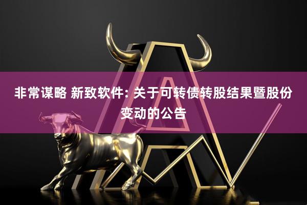 非常谋略 新致软件: 关于可转债转股结果暨股份变动的公告