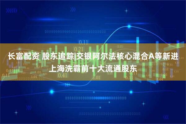 长富配资 股东追踪|交银阿尔法核心混合A等新进上海洗霸前十大流通股东