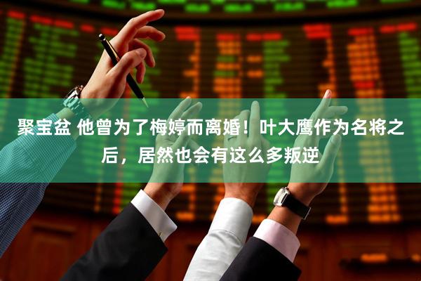 聚宝盆 他曾为了梅婷而离婚！叶大鹰作为名将之后，居然也会有这么多叛逆